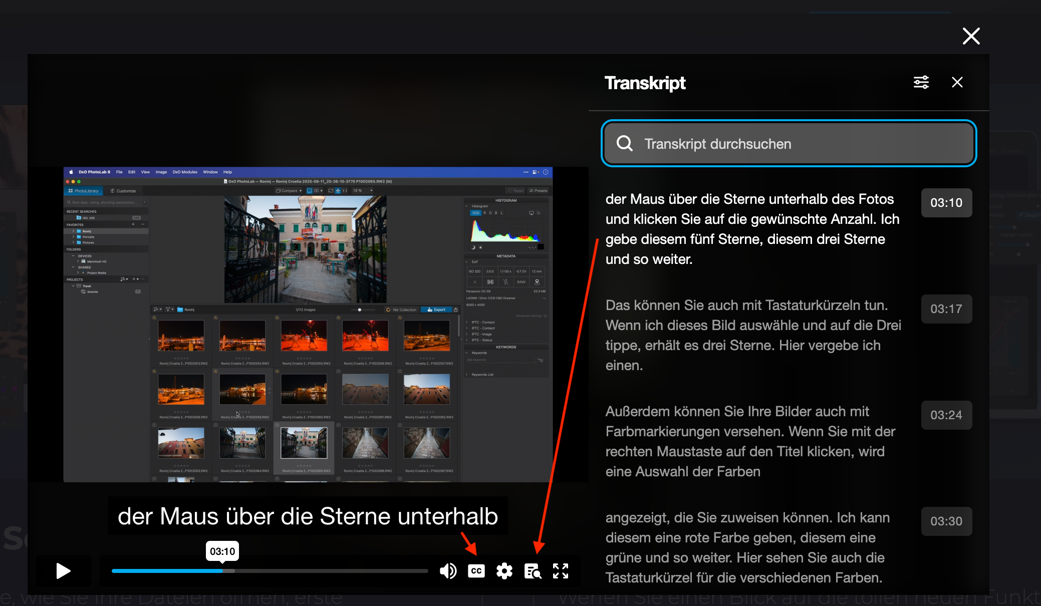 Transcript.png