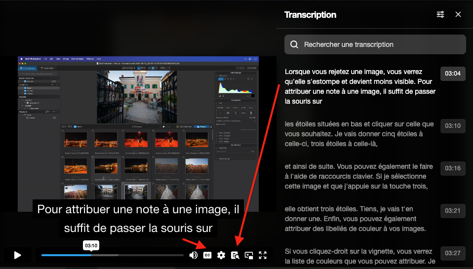 TrascriptionFR.png